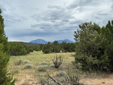Ready to build and priced to sell! This .75 acre homesite in on Walsenburg Golf Club in Colorado - for sale on GolfHomes.com, golf home, golf lot