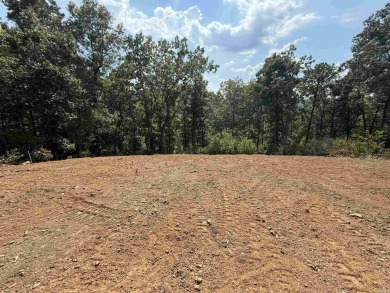 Lakefront lot backs up to *Snakehead Cove* (People have called on Mountain Ranch Golf Club in Arkansas - for sale on GolfHomes.com, golf home, golf lot