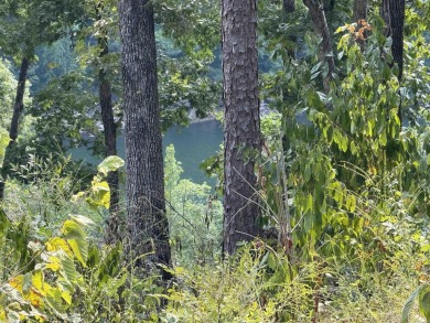 Lakefront lot backs up to *Snakehead Cove* (People have called on Mountain Ranch Golf Club in Arkansas - for sale on GolfHomes.com, golf home, golf lot