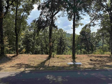 Lakefront lot backs up to *Snakehead Cove* (People have called on Mountain Ranch Golf Club in Arkansas - for sale on GolfHomes.com, golf home, golf lot