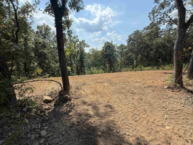 Lakefront lot backs up to *Snakehead Cove* (People have called on Mountain Ranch Golf Club in Arkansas - for sale on GolfHomes.com, golf home, golf lot