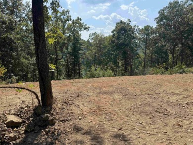 Lakefront lot backs up to *Snakehead Cove* (People have called on Mountain Ranch Golf Club in Arkansas - for sale on GolfHomes.com, golf home, golf lot