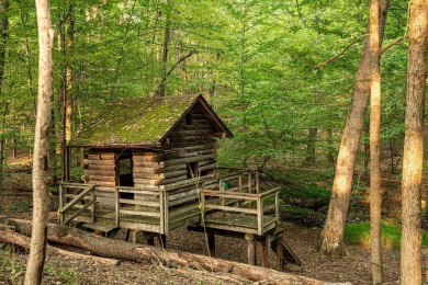 Welcome to this authentic Cape Cod-style log cabin in the heart on Apple Valley Golf Course in Ohio - for sale on GolfHomes.com, golf home, golf lot