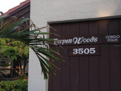 Pond View, spacious second floor furnished 2 bedroom, 2 bath on Tarpon Woods Golf Club in Florida - for sale on GolfHomes.com, golf home, golf lot