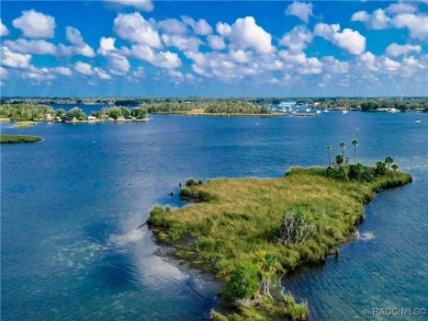 Charming and Updated Crystal River Condo - Perfect for Easy on Plantation Inn and Golf Resort  in Florida - for sale on GolfHomes.com, golf home, golf lot