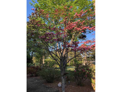 Fantastic opportunity to purchase this well maintained home on on Indian Hills Country Club in Arkansas - for sale on GolfHomes.com, golf home, golf lot