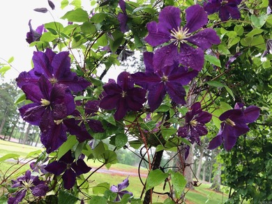 Fantastic opportunity to purchase this well maintained home on on Indian Hills Country Club in Arkansas - for sale on GolfHomes.com, golf home, golf lot