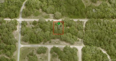 Come build your dream home on this oversized 0.39-acre lot in on Citrus Springs Country Club in Florida - for sale on GolfHomes.com, golf home, golf lot