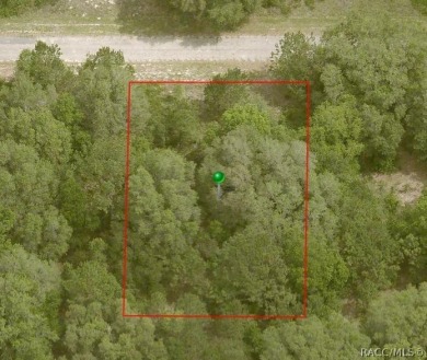 Come build your dream home on this oversized 0.39-acre lot in on Citrus Springs Country Club in Florida - for sale on GolfHomes.com, golf home, golf lot