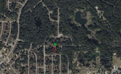 Come build your dream home on this oversized 0.39-acre lot in on Citrus Springs Country Club in Florida - for sale on GolfHomes.com, golf home, golf lot