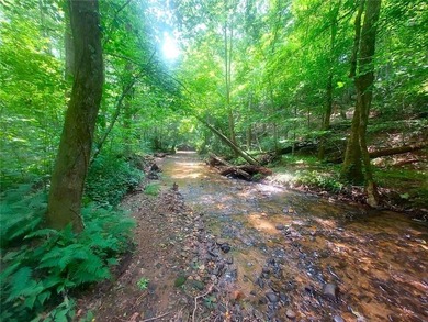 Ready To Build 3-Bedroom 2.5 Bathroom Home Seeks Buyer! THIS IS on Big Canoe Golf Club - Cherokee in Georgia - for sale on GolfHomes.com, golf home, golf lot