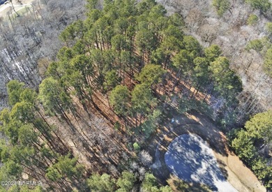 Large 1.5 acre cul-de-sac homesite in the beautiful, and highly on Sound Golf Links at Albemarle Plantation in North Carolina - for sale on GolfHomes.com, golf home, golf lot