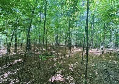 Large 1.5 acre cul-de-sac homesite in the beautiful, and highly on Sound Golf Links at Albemarle Plantation in North Carolina - for sale on GolfHomes.com, golf home, golf lot