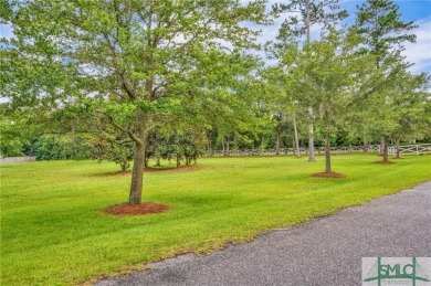 Welcome to Georgia's magnificent coastal river  marsh on Sapelo Hammock Golf Club in Georgia - for sale on GolfHomes.com, golf home, golf lot