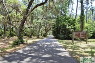 Welcome to Georgia's magnificent coastal river  marsh on Sapelo Hammock Golf Club in Georgia - for sale on GolfHomes.com, golf home, golf lot