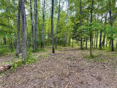 Discover Your Slice of the Northwoods Paradise! This lot offers on Wilderness Trail Golf and Village in Minnesota - for sale on GolfHomes.com, golf home, golf lot