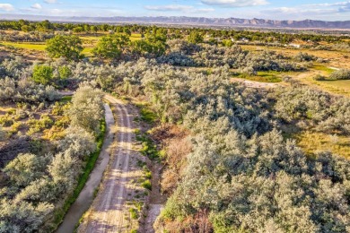 58.25 acres  on the Redlands  poised for development. With on Tiara Rado Golf Course in Colorado - for sale on GolfHomes.com, golf home, golf lot