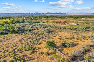 58.25 acres  on the Redlands  poised for development. With on Tiara Rado Golf Course in Colorado - for sale on GolfHomes.com, golf home, golf lot