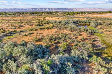 58.25 acres  on the Redlands  poised for development. With on Tiara Rado Golf Course in Colorado - for sale on GolfHomes.com, golf home, golf lot