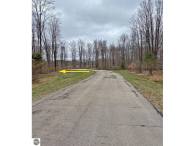 Fantastic location just across from Crystal Mountain Resort with on Crystal Mountain Golf Course in Michigan - for sale on GolfHomes.com, golf home, golf lot