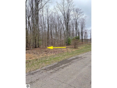 Fantastic location just across from Crystal Mountain Resort with on Crystal Mountain Golf Course in Michigan - for sale on GolfHomes.com, golf home, golf lot