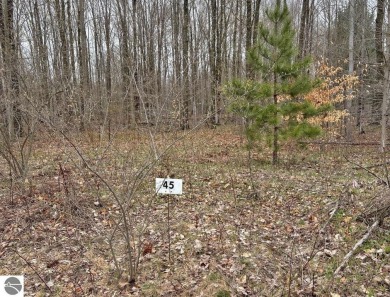 Fantastic location just across from Crystal Mountain Resort with on Crystal Mountain Golf Course in Michigan - for sale on GolfHomes.com, golf home, golf lot