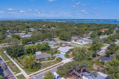 Charming Belleair Home on a Corner Lot - Room to Grow, Steps on Belleview Biltmore Golf Club in Florida - for sale on GolfHomes.com, golf home, golf lot