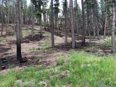 Beautiful And Tranquil Lot Forested With Ponderosa Pine. High Up on Pendaries Village Community Assoc. in New Mexico - for sale on GolfHomes.com, golf home, golf lot