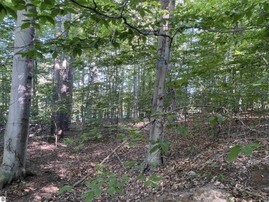 Surround yourself among nature and endless recreation on Manitou Passage Golf Club in Michigan - for sale on GolfHomes.com, golf home, golf lot