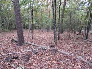 Fantastic Building Site in Diamante Golf Community - Hot Springs on Diamante Golf and Country Club in Arkansas - for sale on GolfHomes.com, golf home, golf lot
