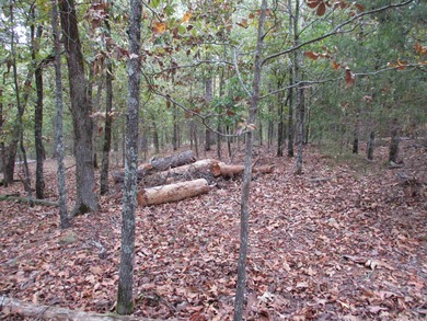 Fantastic Building Site in Diamante Golf Community - Hot Springs on Diamante Golf and Country Club in Arkansas - for sale on GolfHomes.com, golf home, golf lot