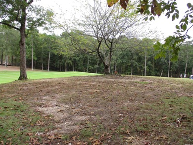 Fantastic Building Site in Diamante Golf Community - Hot Springs on Diamante Golf and Country Club in Arkansas - for sale on GolfHomes.com, golf home, golf lot