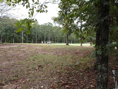 Fantastic Building Site in Diamante Golf Community - Hot Springs on Diamante Golf and Country Club in Arkansas - for sale on GolfHomes.com, golf home, golf lot