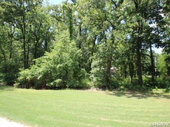 Best level Golf Course lot  on # 5 tee box with views of #4 on Diamondhead Golf & Country Club in Arkansas - for sale on GolfHomes.com, golf home, golf lot