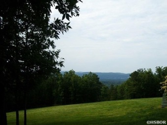 Best level Golf Course lot  on # 5 tee box with views of #4 on Diamondhead Golf & Country Club in Arkansas - for sale on GolfHomes.com, golf home, golf lot