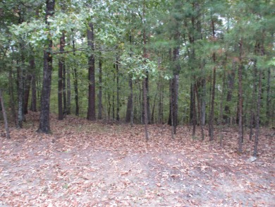 Great building lot in Diamante Country Club with gold status on Diamante Golf and Country Club in Arkansas - for sale on GolfHomes.com, golf home, golf lot