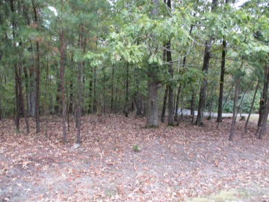 Great building lot in Diamante Country Club with gold status on Diamante Golf and Country Club in Arkansas - for sale on GolfHomes.com, golf home, golf lot