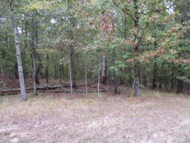 Great building lot in Diamante Country Club with gold status on Diamante Golf and Country Club in Arkansas - for sale on GolfHomes.com, golf home, golf lot