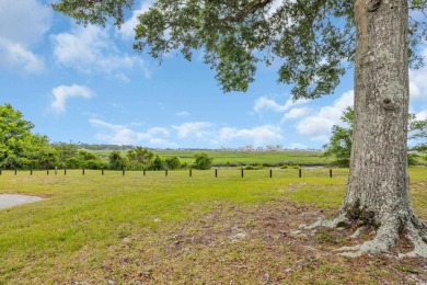 Located in the sought-after Creekside community in North Myrtle on Tidewater Golf Club and Plantation in South Carolina - for sale on GolfHomes.com, golf home, golf lot
