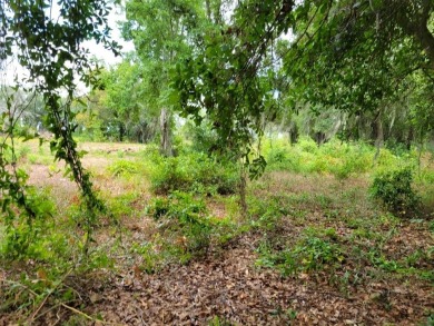 Rare, Large Estate Lot of +/- 0.95 Acres (Lot B) directly on on Kissimmee Bay Country Club in Florida - for sale on GolfHomes.com, golf home, golf lot