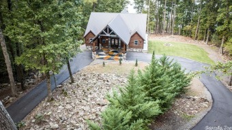 So many features to this Modern Log Sided Lakefront Home sitting on Red Apple Inn and Country Club in Arkansas - for sale on GolfHomes.com, golf home, golf lot