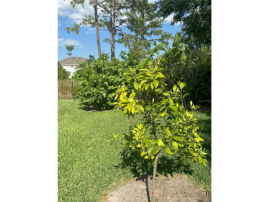 Welcome to your quiet cul-de-sac, high and dry, dream home! NEW on Victoria Hills Golf Club in Florida - for sale on GolfHomes.com, golf home, golf lot