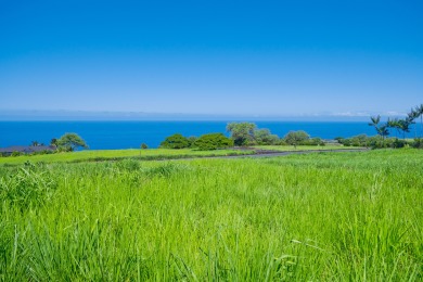 Discover the unparalleled beauty and rich heritage of Hokuli'a on Club At Hokulia in Hawaii - for sale on GolfHomes.com, golf home, golf lot