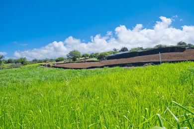 Discover the unparalleled beauty and rich heritage of Hokuli'a on Club At Hokulia in Hawaii - for sale on GolfHomes.com, golf home, golf lot