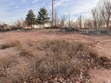 Imagine coming home to wide-open skies, mountain views, and the on Roosevelt Municipal Golf Course in Utah - for sale on GolfHomes.com, golf home, golf lot