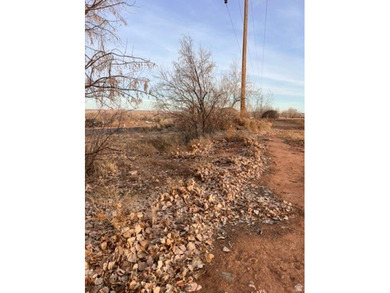 Imagine coming home to wide-open skies, mountain views, and the on Roosevelt Municipal Golf Course in Utah - for sale on GolfHomes.com, golf home, golf lot