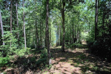 These two Homesites total 4.81 acres, are nested in the pristine on The Cliffs At Keowee Falls in South Carolina - for sale on GolfHomes.com, golf home, golf lot