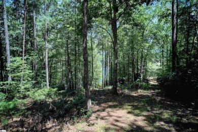 These two Homesites total 4.81 acres, are nested in the pristine on The Cliffs At Keowee Falls in South Carolina - for sale on GolfHomes.com, golf home, golf lot