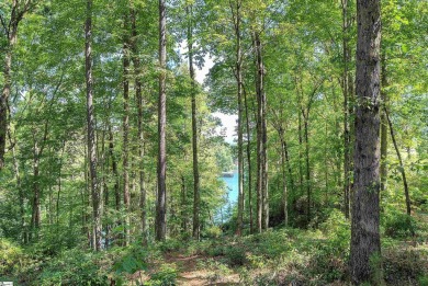 These two Homesites total 4.81 acres, are nested in the pristine on The Cliffs At Keowee Falls in South Carolina - for sale on GolfHomes.com, golf home, golf lot