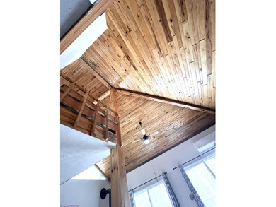 Welcome to Alpine Lake Resort--where comfort, scenery, and on Alpine Lake Resort in West Virginia - for sale on GolfHomes.com, golf home, golf lot